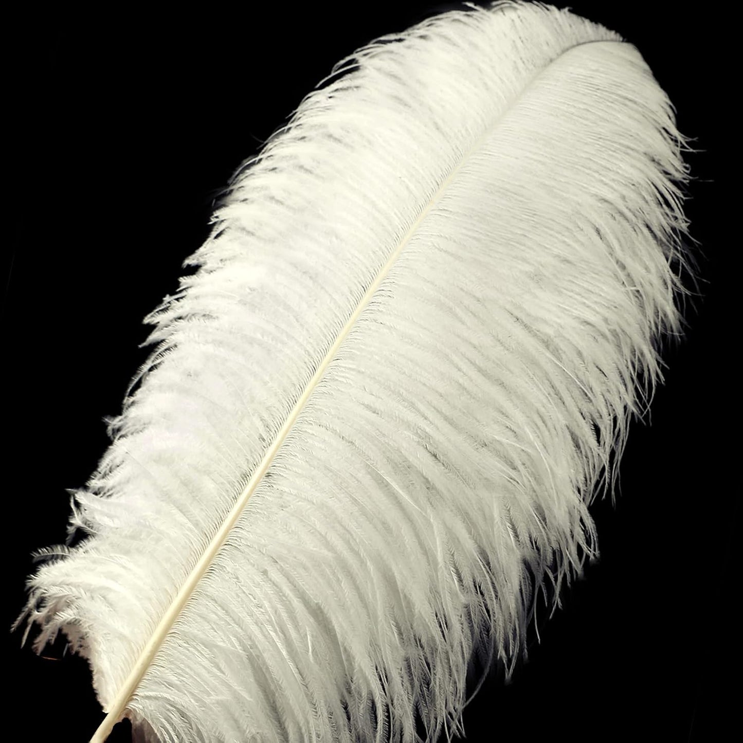 Beige Large Ostrich Feathers Bulk- 16-18 inches 10pcs for Wedding Party Centerpieces,Flower Arrangement and Home Decorations (Beige)