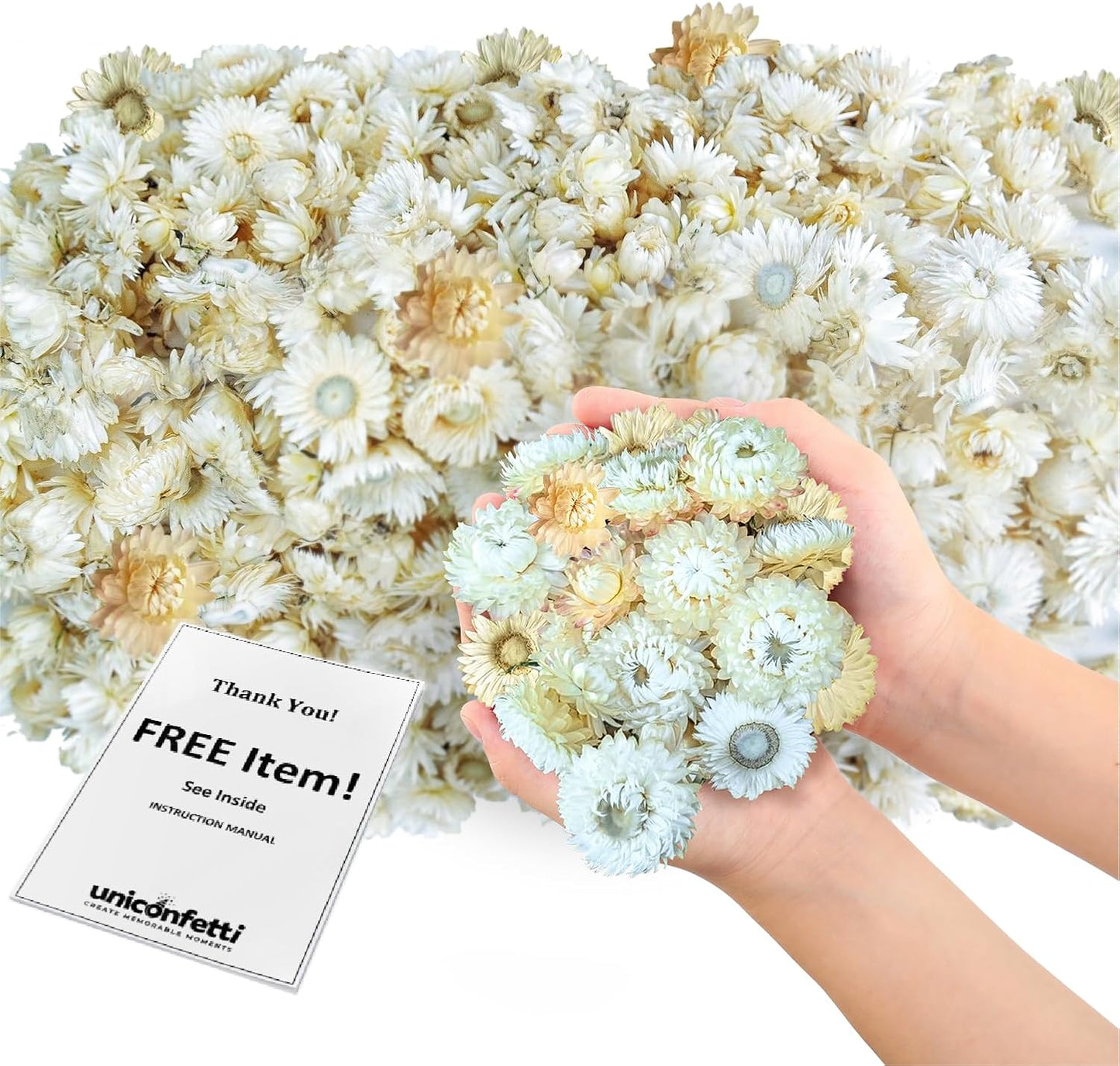 Dried Flower White Straw Daisy Biodegradable Confetti - Real Flower Petals for Weddings, Flower Girl Toss, Wedding Send Off Ideas, Party Table Decoration | Boxed - 8oz (0.5lbs)