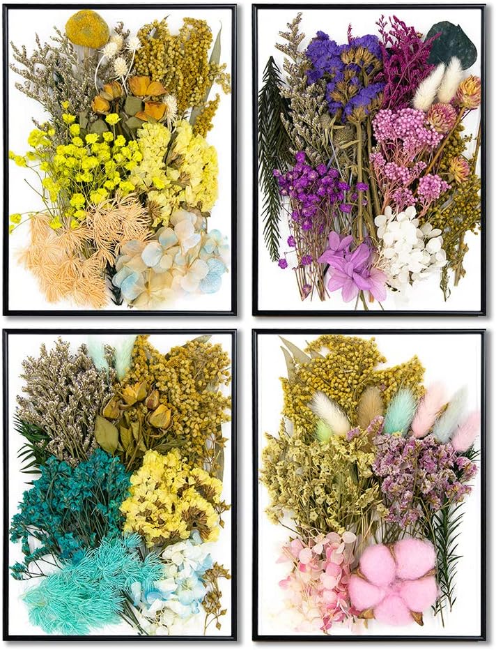 Vignee Real Dried Pressed Leaf Flowers-Multiple Colorful Pressed Flowers Daisies for Craft Resin Jewelry Making Art Craft DIY（Blue）