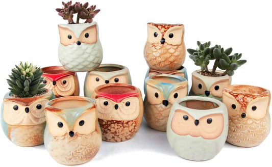 T4U 2.5 Inch Owl Ceramic Succulent Planter Pots with Drainage Hole Set of 12, Mini Cactus Pots Tiny Cute Plant Holder Container Best for Home Office Decor Gardening Gift