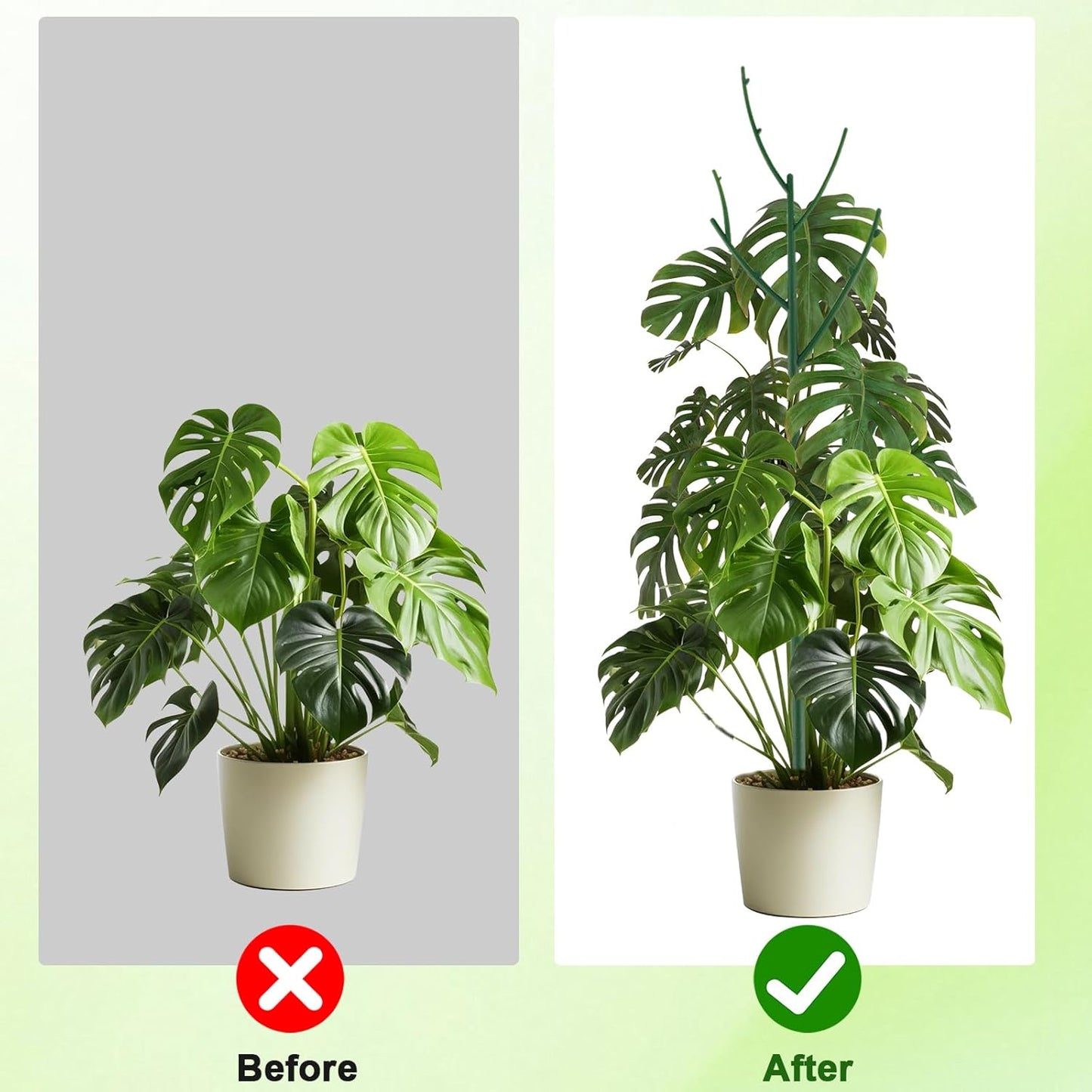 15 Pack Stackable Plant Support Stakes, Garden Trellis for Climbing Plants Indoor and Outdoor Use, Plant Accessories for Potted Plants Monstera, Plant Sticks for Climbing Plant Stems