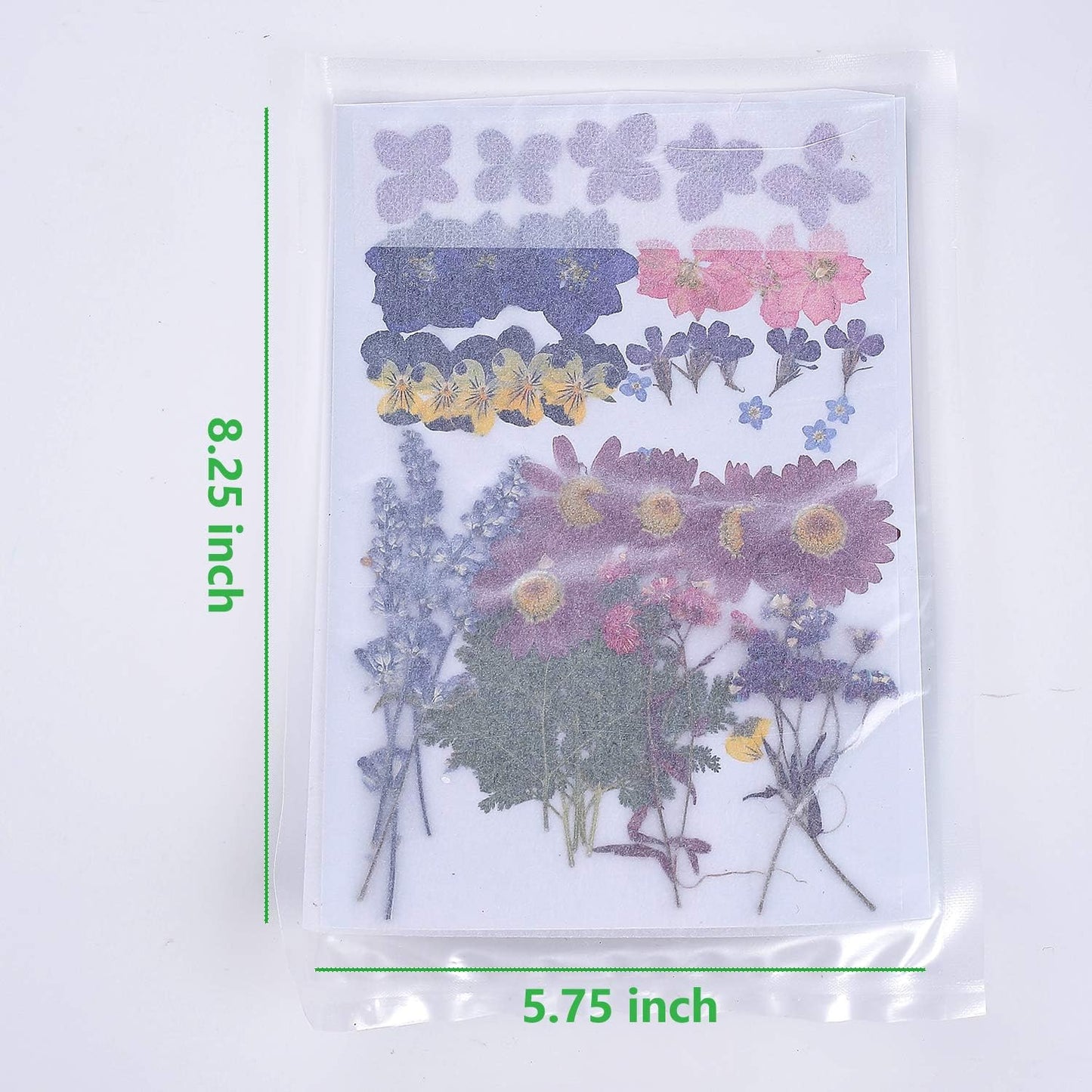 11 Types 46pcs Real Dried Pressed Flowers Leaf Plant Herbarium for DIY Resin Jewelry Making Floral Decors (Purple)