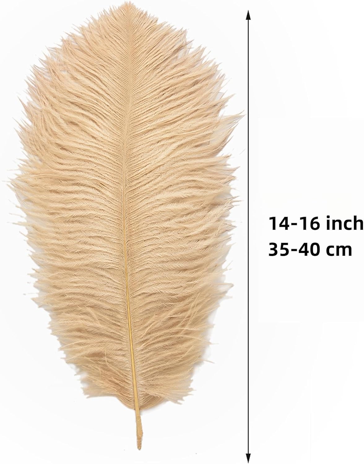 Ballinger Champagne Large Ostrich Feathers - 12Pcs 14-16inch Large Boho Feathers for Vase,Wedding Party Centerpieces and Holiday Home Decor