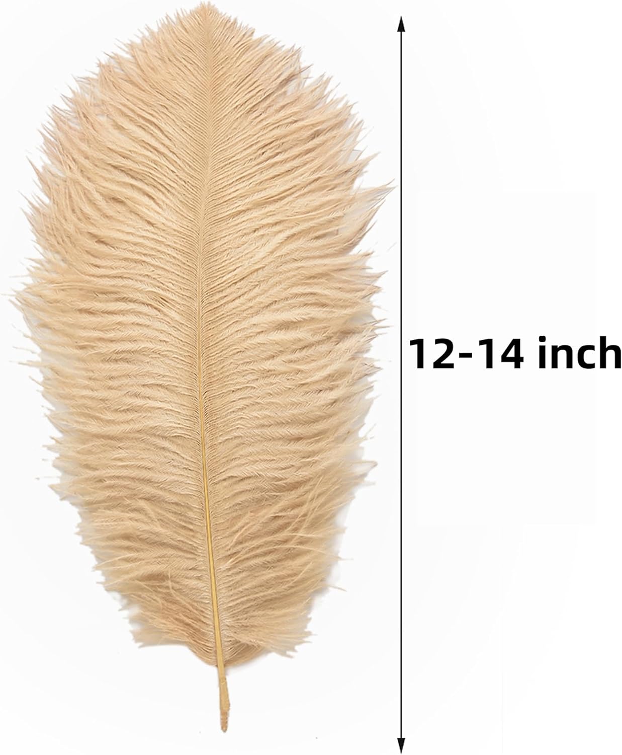 Ballinger Large Champagne Ostrich Feathers - 24pcs 12-14inch Boho Feathers for Vase and Home Decor Wedding Party Centerpieces