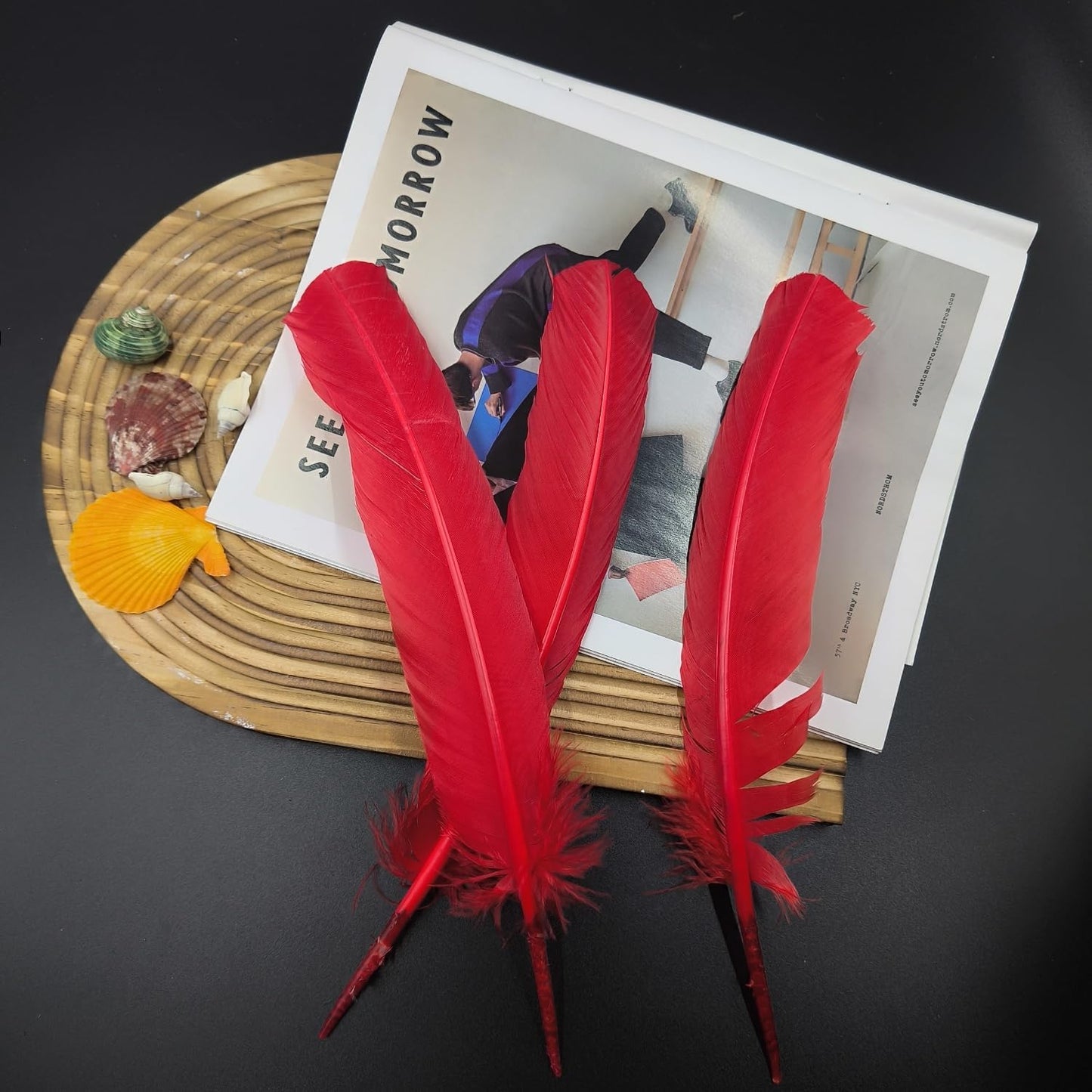 Red Turkey Feathers,22 Pcs Natural Feathers Bulk Long 10-12 inch (25-30cm),Turkish Feather for Crafts DIY Wedding Home Party Mardi Gras Decorations (Red)