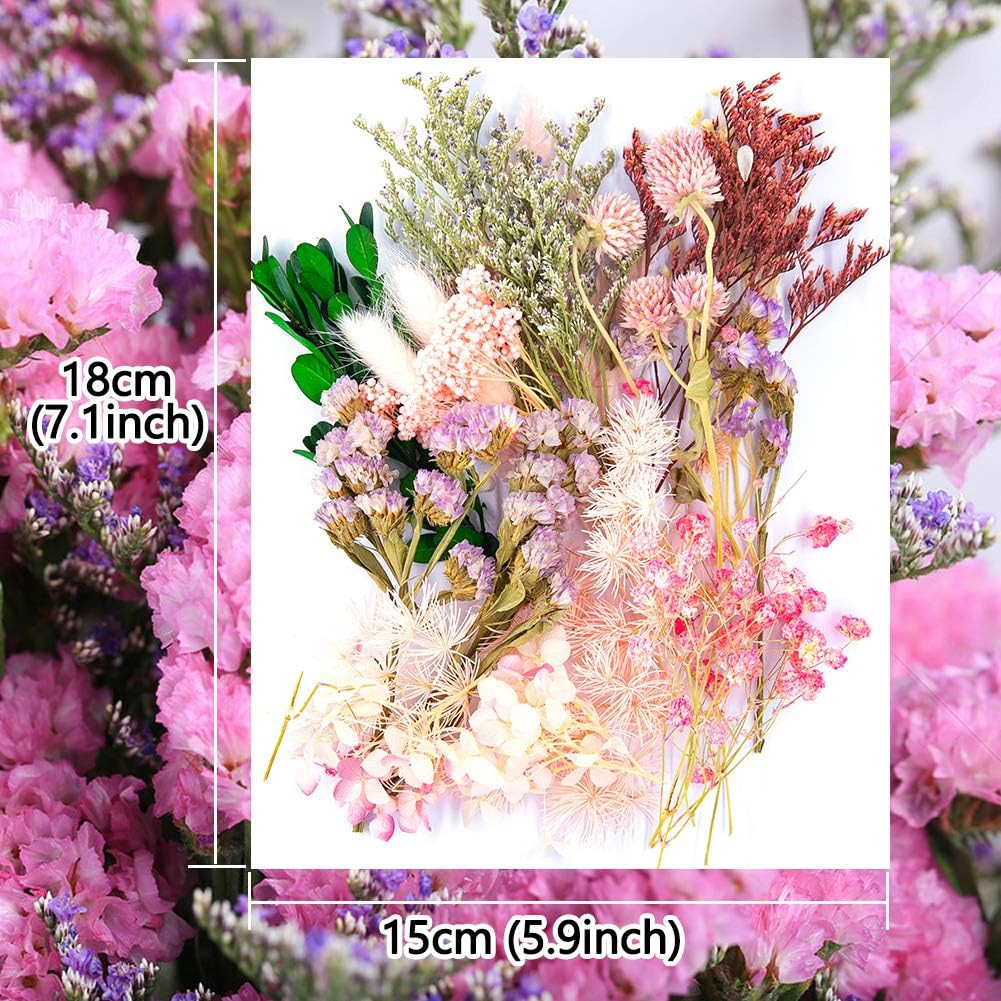 Vignee Real Dried Pressed Leaf Flowers-Multiple Colorful Pressed Flowers Daisies for Craft Resin Jewelry Making Art Craft DIY and Soap Candle Scrapbooking DIY Resin（Light Pink）