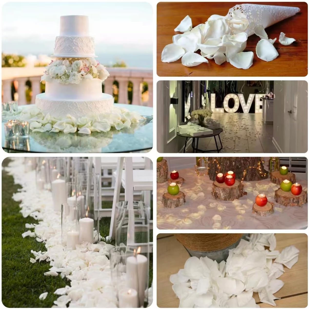 Dried Real White Rose Petals, Freeze Preserved Flower Petals 2.8 oz for Valentine's Day Gifts Wedding Party Decor, Flower Girl, Dinner Table Centerpieces, Bridal Shower, Flower Confetti 80g