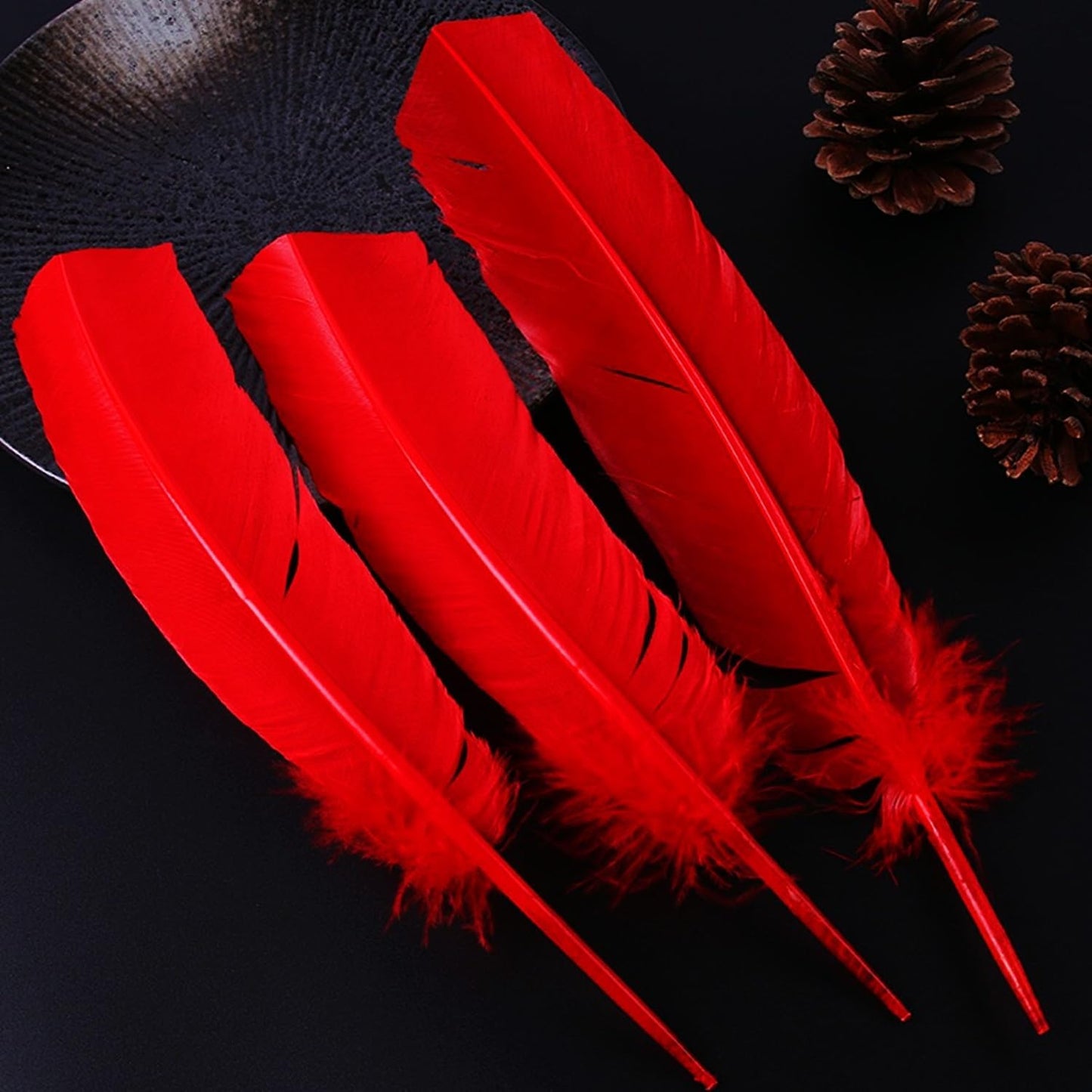 Red Turkey Feathers,22 Pcs Natural Feathers Bulk Long 10-12 inch (25-30cm),Turkish Feather for Crafts DIY Wedding Home Party Mardi Gras Decorations (Red)