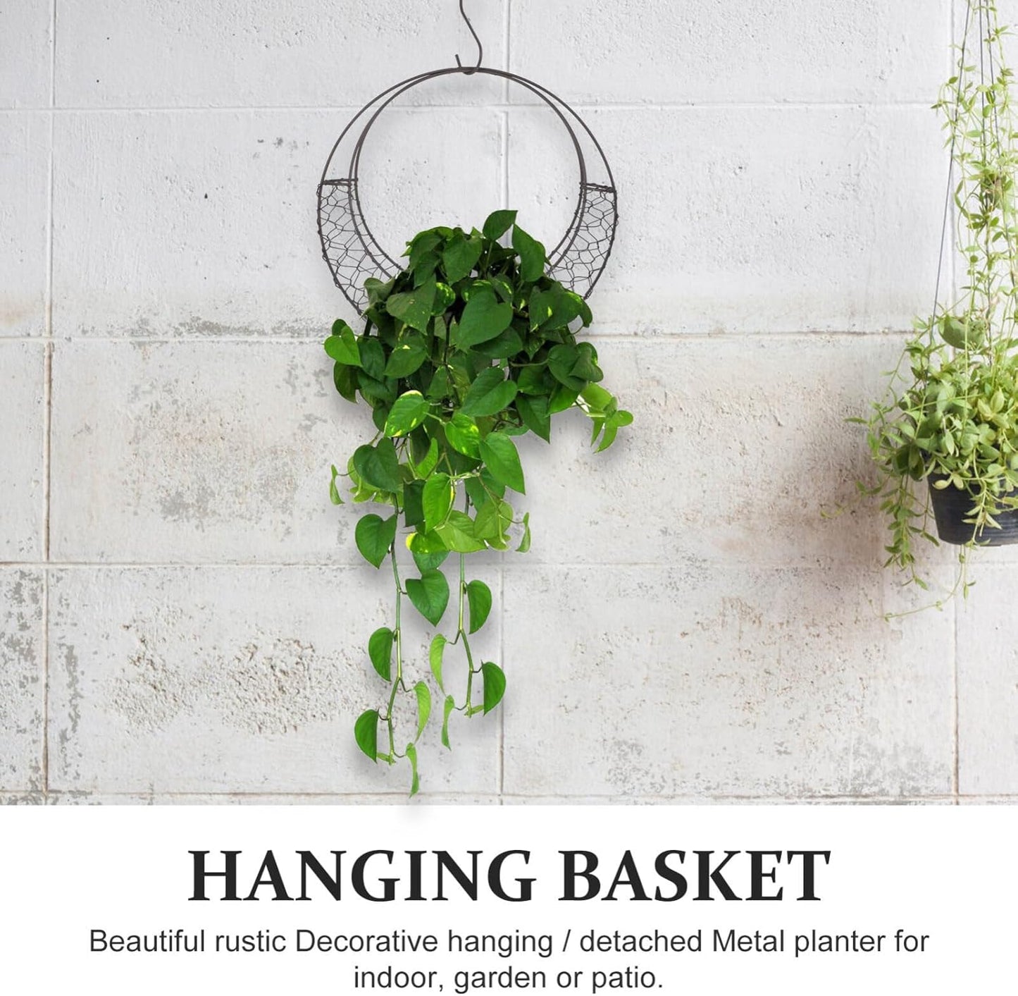 Air Plants Holders Wire Wreath Frame Hanger, 11 inch Moon Shape Wreath Form Hanging Plant Holder Metal Hanging Orchid Planter Plant Basket Holder, Succulent Wire Wreath Frame with Hook