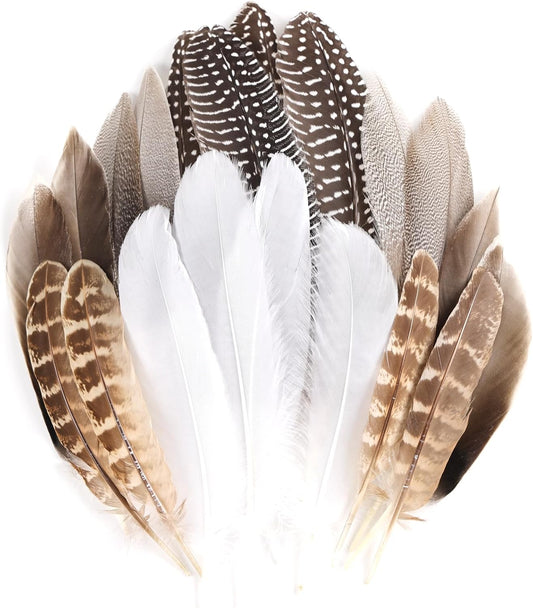 MAOFENG 20pcs Natural Pheasant Feathers Bulk 5 Styles Mixed Feathers Spotted Feathers for Craft DIY Wedding Home Hat Floral Arrangements Holiday Decorations