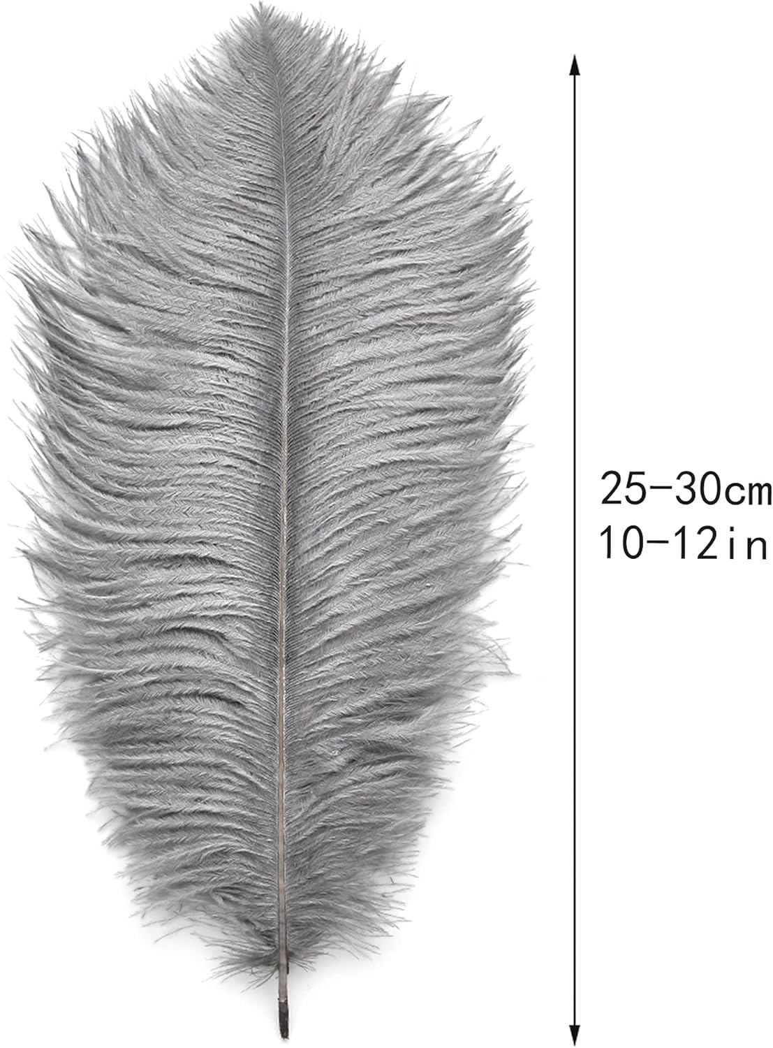 Ballinger Natural Gray Ostrich Feathers - 24pcs 10-12inch for Wedding Party Centerpieces Home Decor