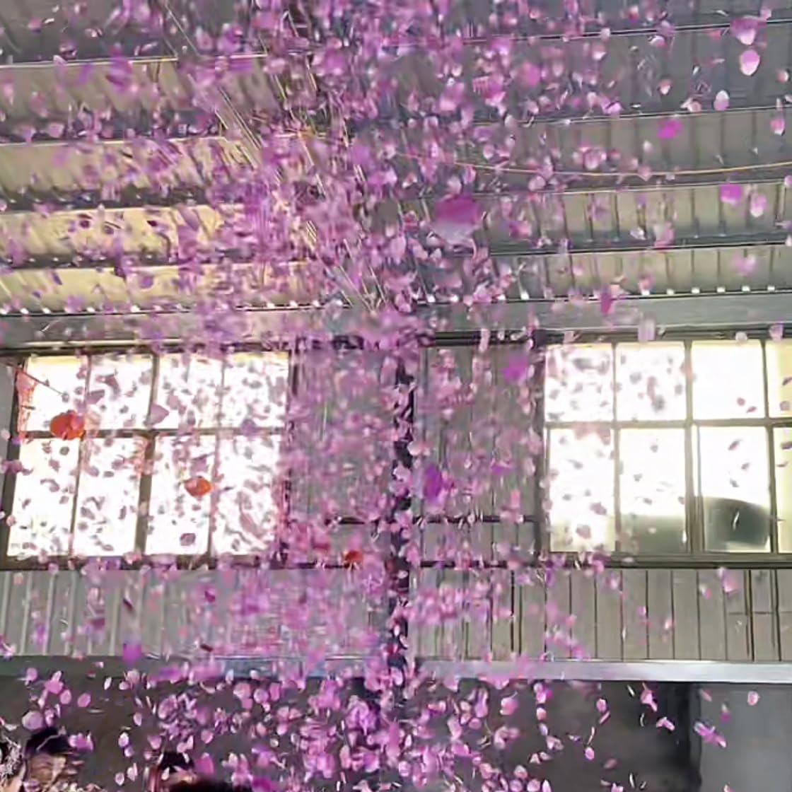 CODE FLORIST 2200 PCS Silk Rose Petals Wedding Flower Decoration