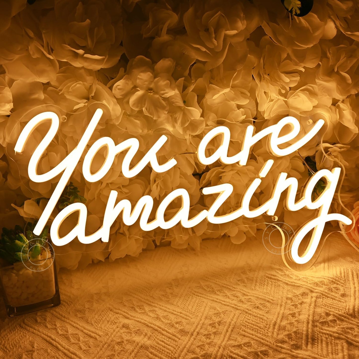 SYLHOME You Are Amazing Led Neon Light Sign Girls Bedroom Kids Room Wall Decor Sign Wedding Birthday Christmas Graduation Party Sign Student USB 15.75" X 8.94" Warm