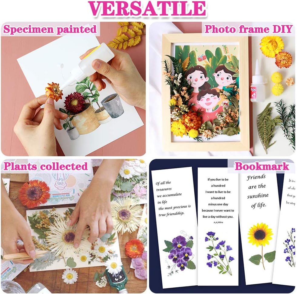 Vignee Real Dried Pressed Leaf Flowers-Multiple Colorful Pressed Flowers Daisies for Craft Resin Jewelry Making Art Craft DIY（White&Light Pink）