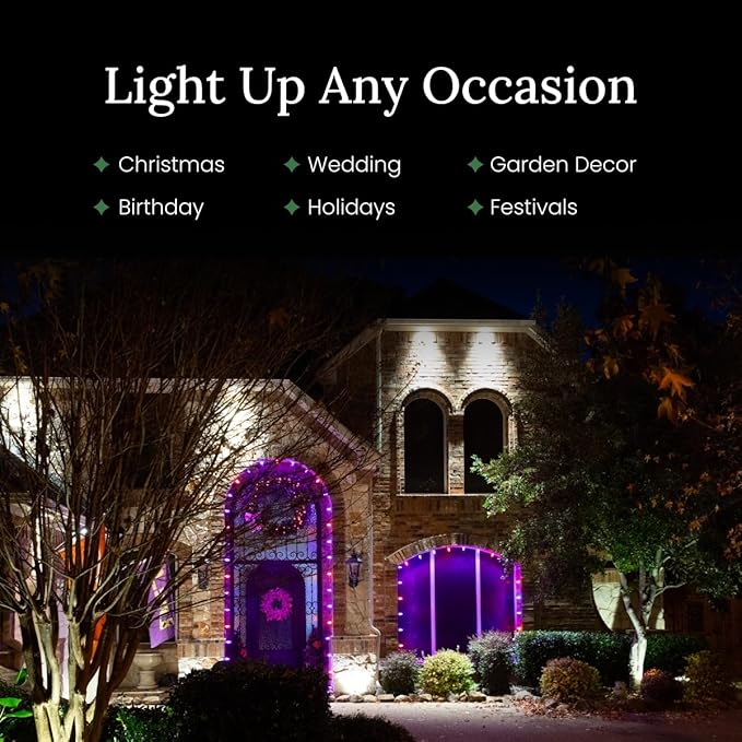Pro Christmas C9 LED Christmas Light Kit for Rooflines & Pathways – DIY Cut to Length, Outdoor Commercial Grade (White Wire w/Vampire Plugs, 25 Bulbs, 25 ft) Cool White