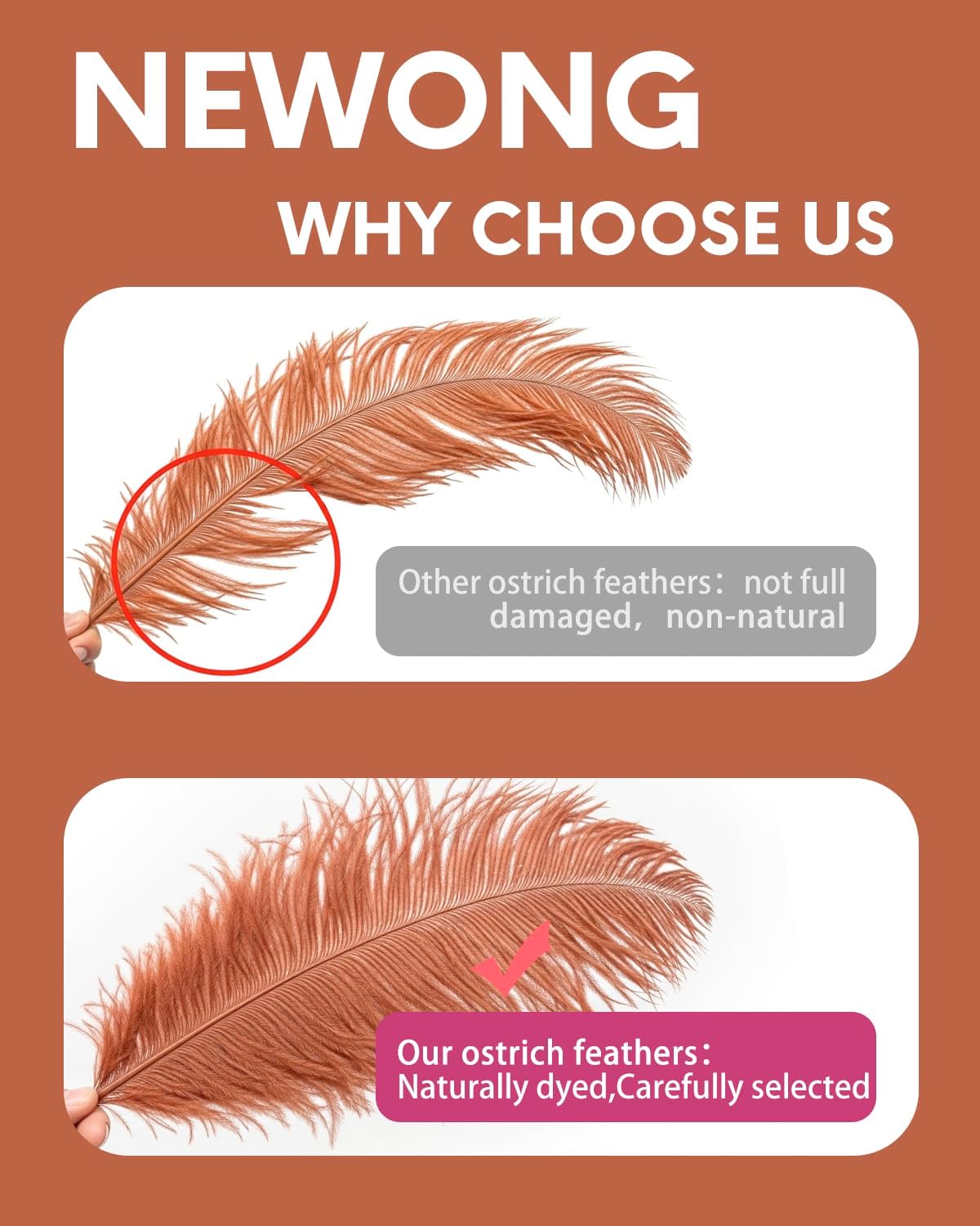 NEWONG 30pcs Brown Ostrich Feathers Natural Bulk 8-10in（20-25cm） Vase Craft Wedding Home Party Centerpieces Christmas Day Decoration