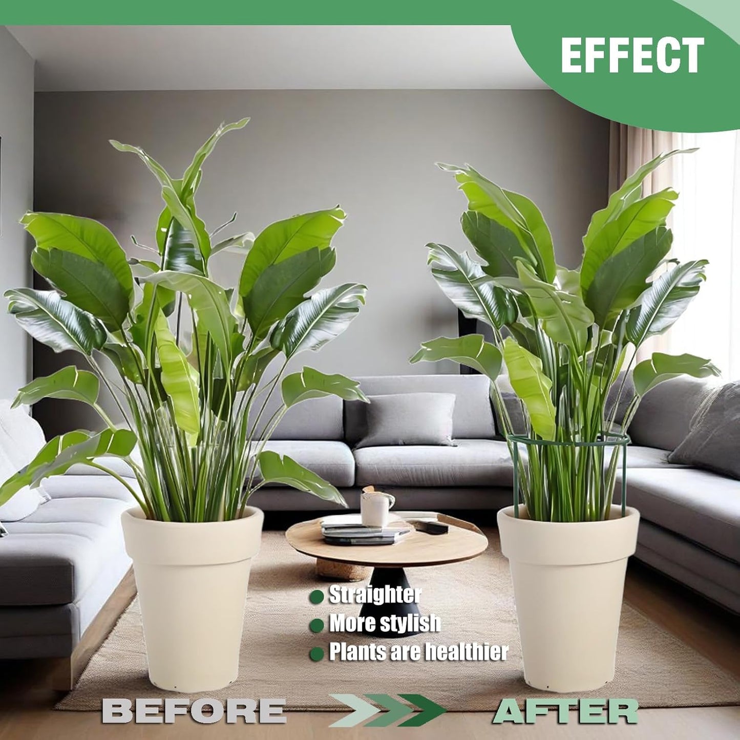 12 Pack Tall Snake Plant Support Stakes, 10" W x 24" H Half Round Peony Cages and Supports for Indoor and Outdoor Plants, Plant Cage Ring Support for Flower,Hydrangea, Peony, Tomato, Rose Bush