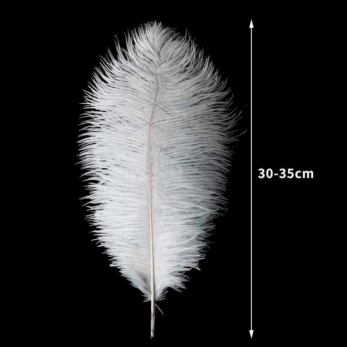 12pcs Natural White Ostrich Feathers 12-14inch (30-35cm) for Wedding Party Centerpieces，Flower Arrangement and Home Decoration.