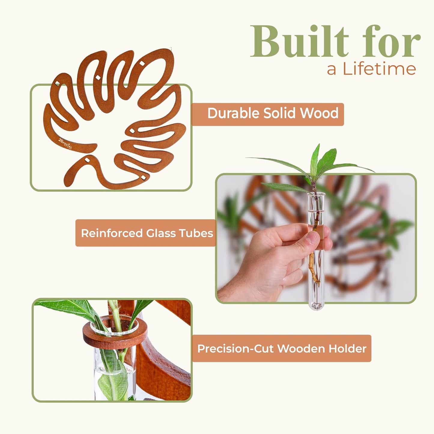 2Special Propagation Stations | Hanging Propagation Station and Wall Planters for Indoor Plants | Wooden Wall Vase, 6+1 Glass Propagation Vases for Plants | Leaf Shape Plant Propagation Station