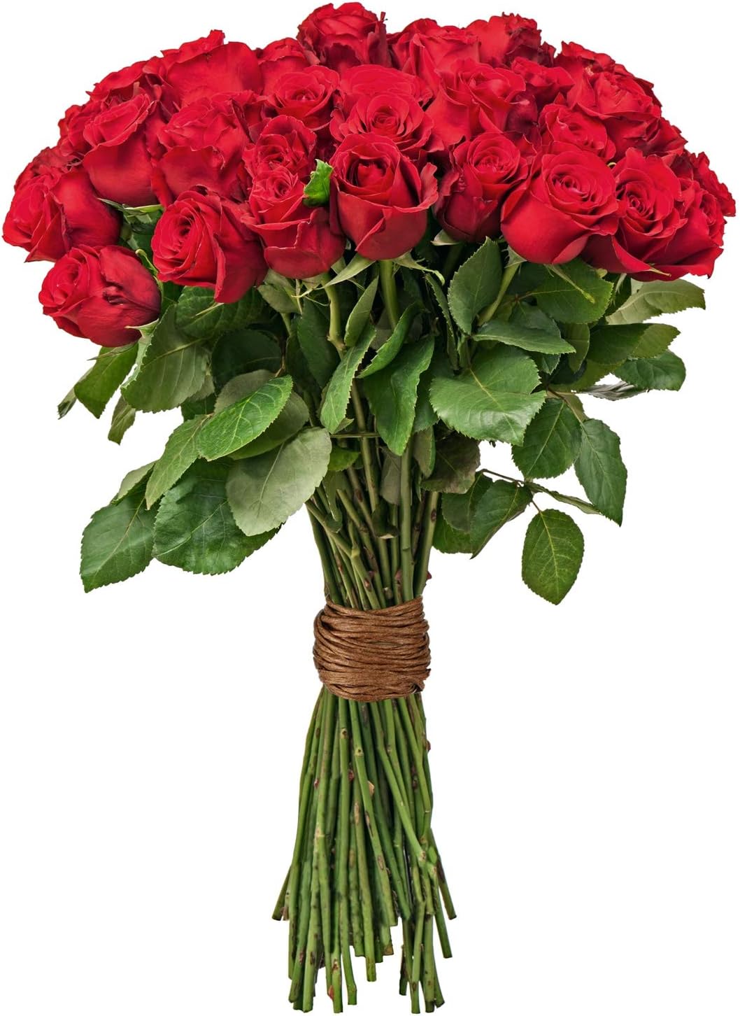 Syhood Floral Vine Bind Wire Rustic Wrapping Wire for Flower Bouquets(Brown)