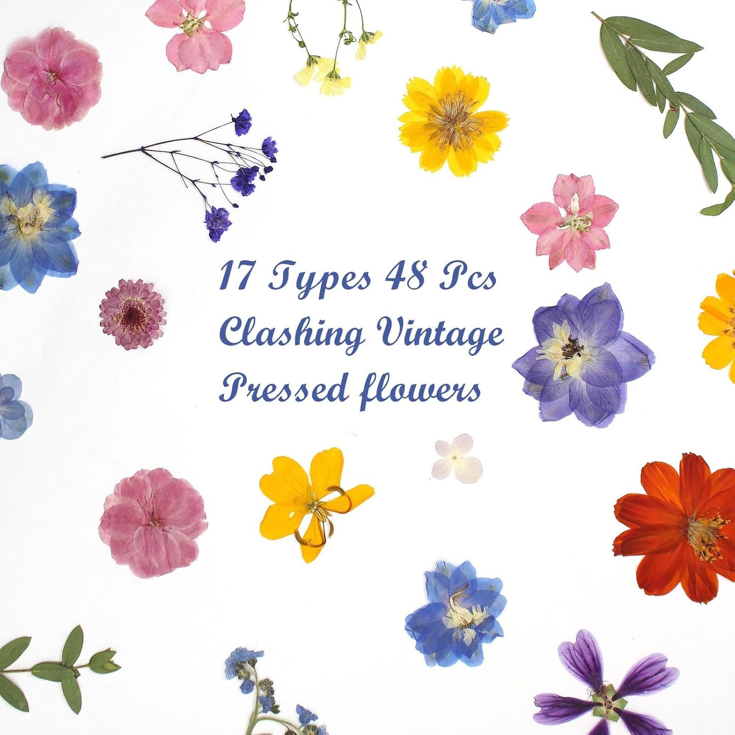 17 Types Retro Dried Pressed Flowers Leaf Plant Herbarium for DIY Resin Jewelry Making Floral Decors(Muti Color)