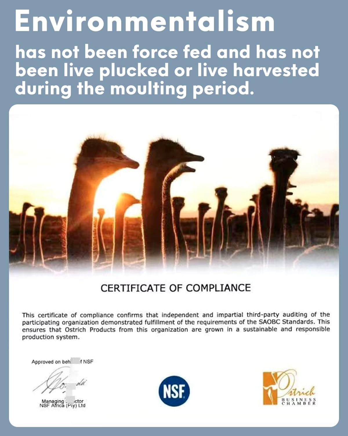 NEWONG 30pcs Champagne Ostrich Feathers Natural Bulk 9-12inch(23-30cm) Vase Craft Wedding Home Party Centerpieces Christmas Day Decoration