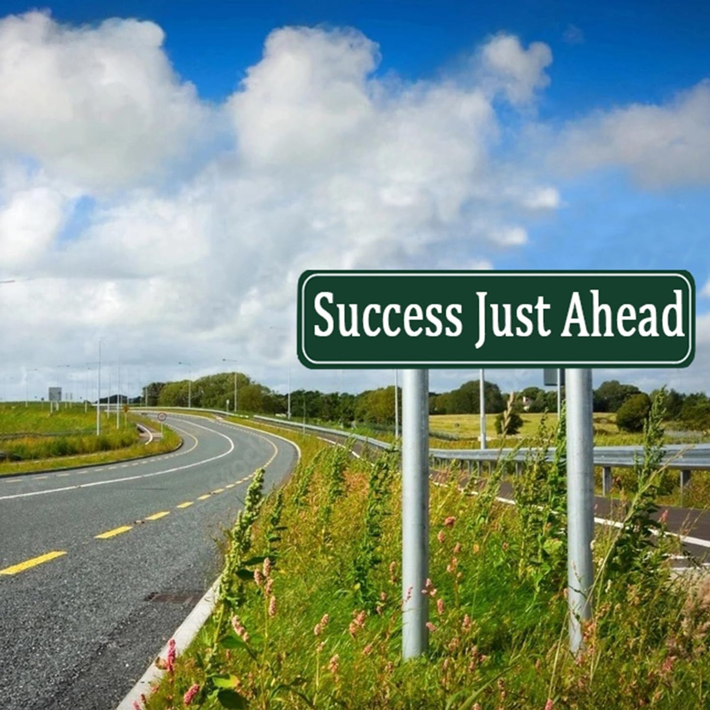 Custom Signs Outdoor Metal,Personalized Street Sign,Create Your Own Sign-Offices、Businesses、Workplaces Address Signs,Indoor and Outdoor Use