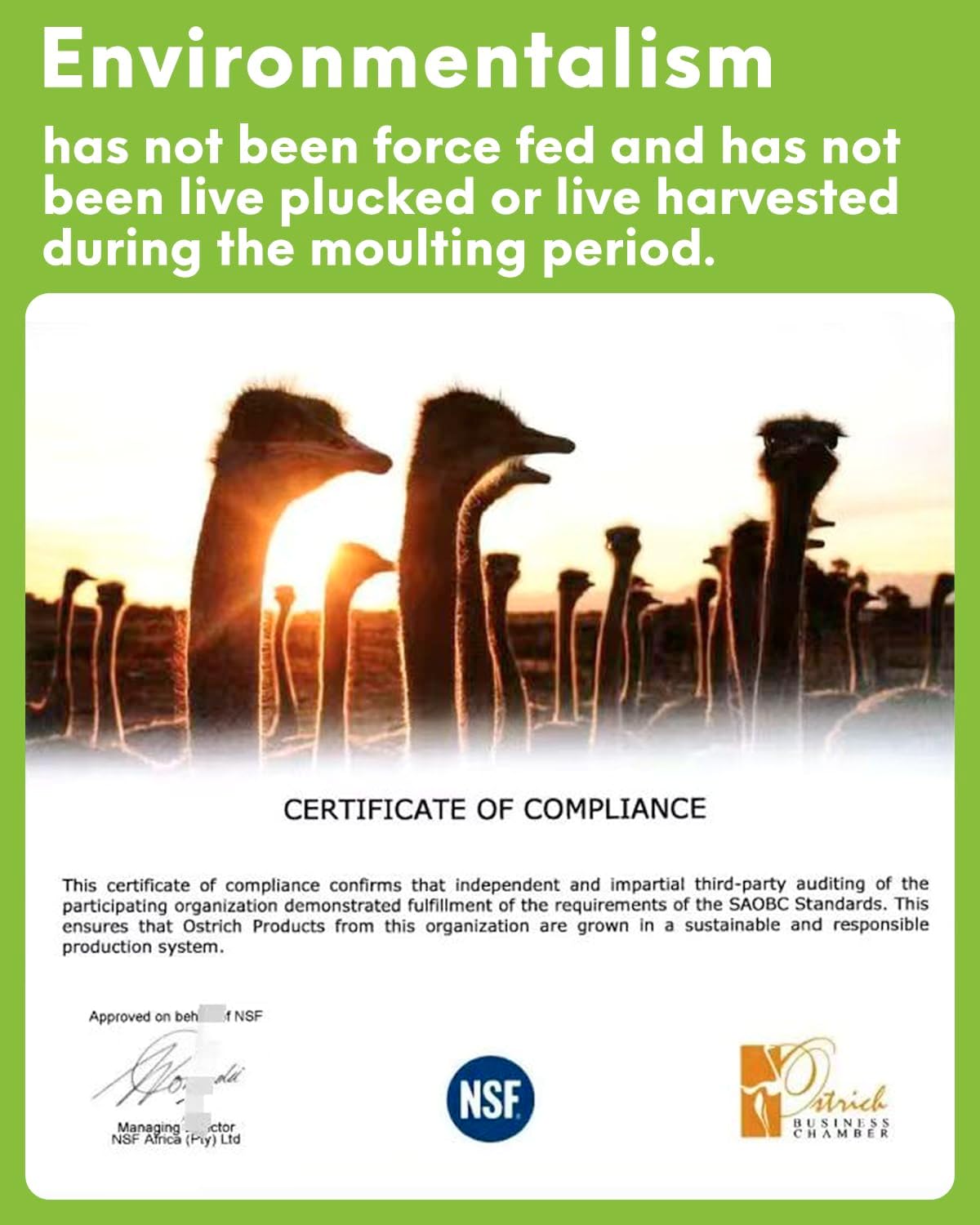 NEWONG 30pcs Purple Ostrich Feathers Natural Bulk 8-10inch(20-25cm) Vase Craft Wedding Home Party Centerpieces Christmas Day Decoration