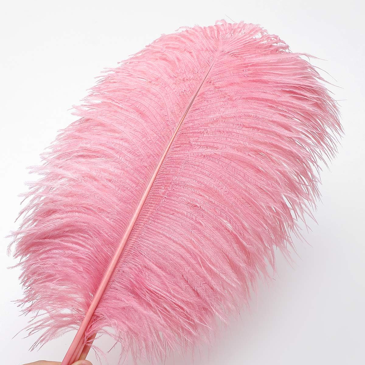 12pcs Natural Lotus Pink Ostrich Feathers 12-14inch (30-35cm) for Wedding Party Centerpieces，Flower Arrangement and Home Decoration.