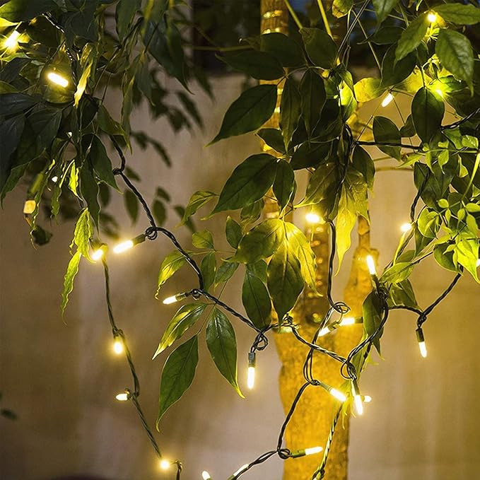 100-Count Warm White LED Christmas String Lights, 35 Ft Green Wire, UL Certified Connectable, Mini Xmas Lights Outdoor or Indoor (Warm White)