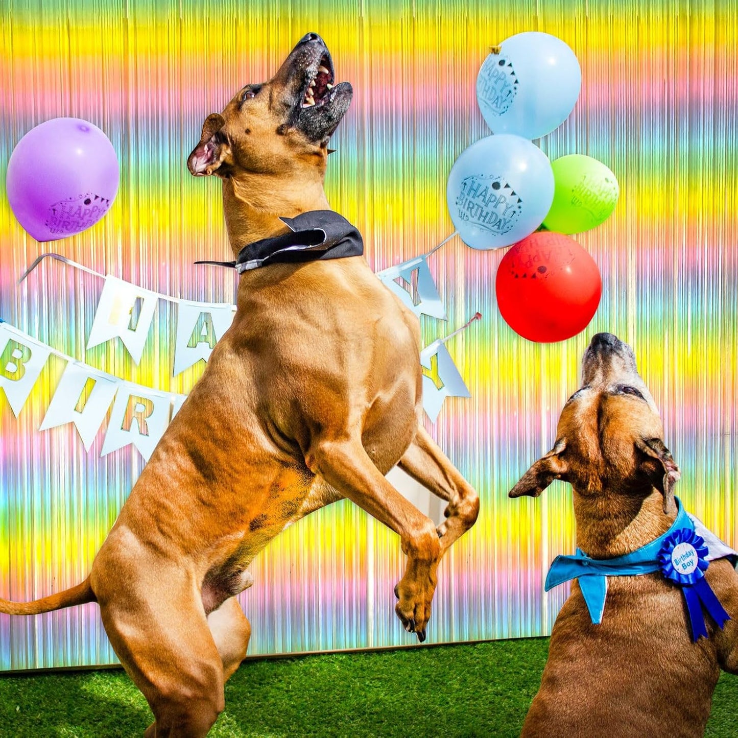 Pastel Rainbow Foil Fringe Curtain Streamers Party Backdrop Foil Fringe Backdrop Curtains Tinsel Streamers for Birthday Party Easter Decorations