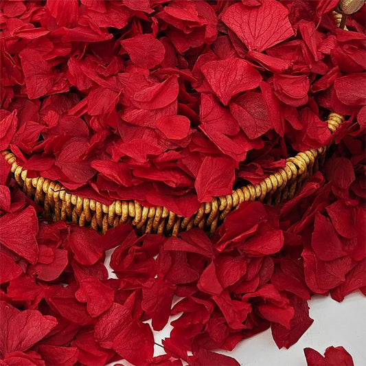 1500Pcs Real Dried Red Hydrangea Flower Petals - Natural small Petals for Wedding, Party Confetti, Valentine's Day, Flower Girl Baskets, Romantic Night, Proposal Decor, Handcrafts (1.06 oz)