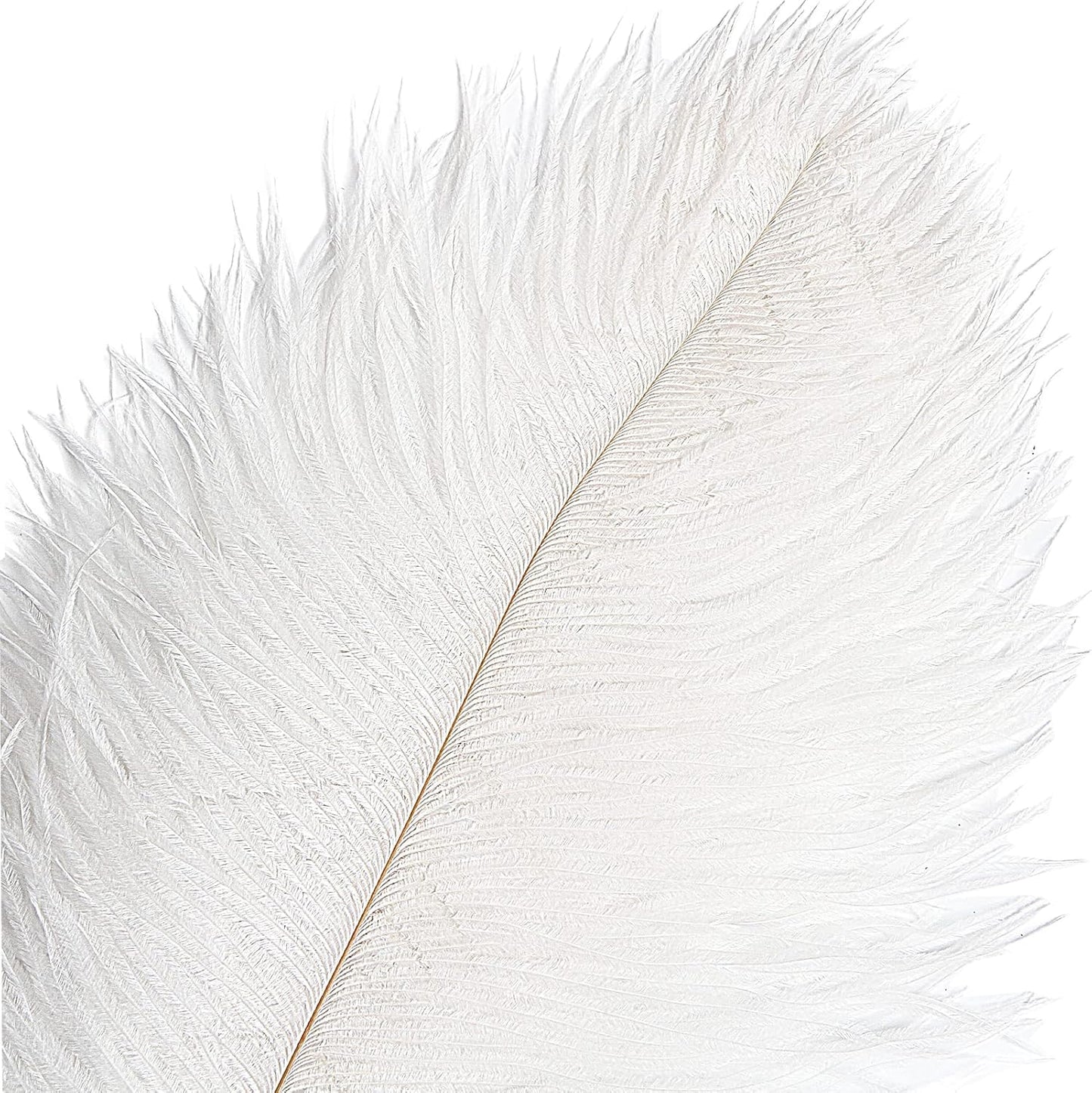 THARAHT 12pcs White Ostrich Feathers Natural Bulk 12-14Inch 30cm-35cm for Wedding Party Centerpieces Easter Gatsby and Home Decorate Ostrich Feathers