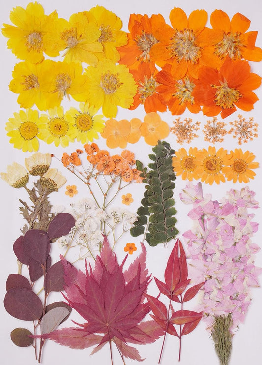 15Types 48Pcs Fall Real Dried Pressed Flowers Maple Leaf Plant Herbarium for Frame Crafts Resin Jewelry Making, Floral Cake Decorations-Fall