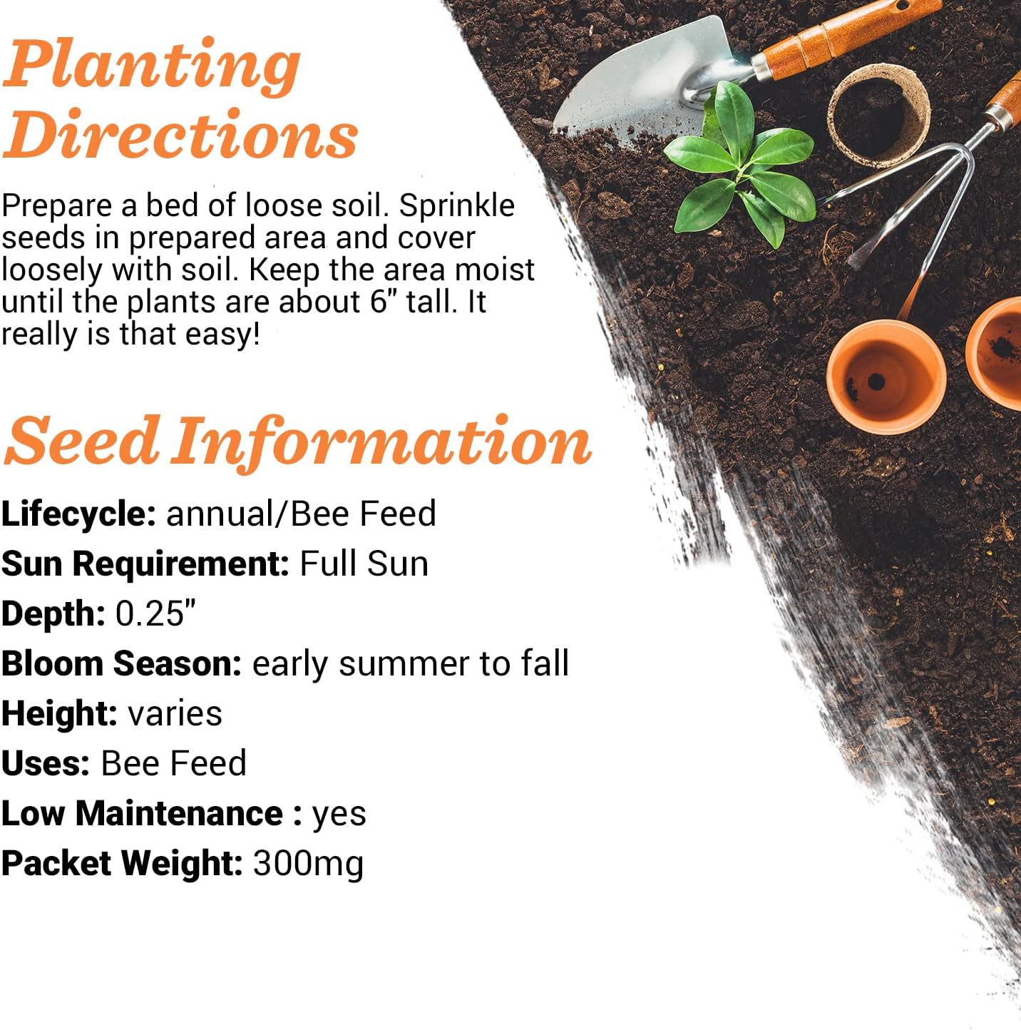 Bentley Seed Flower Mix - Pollinator Seed Mix with 5 Wildflower Seed Packets - Non-GMO Pollinator Seeds - Eco-Friendly Flower Seeds Packets for Party, Celebration, and Gifts - Pollinator Mix