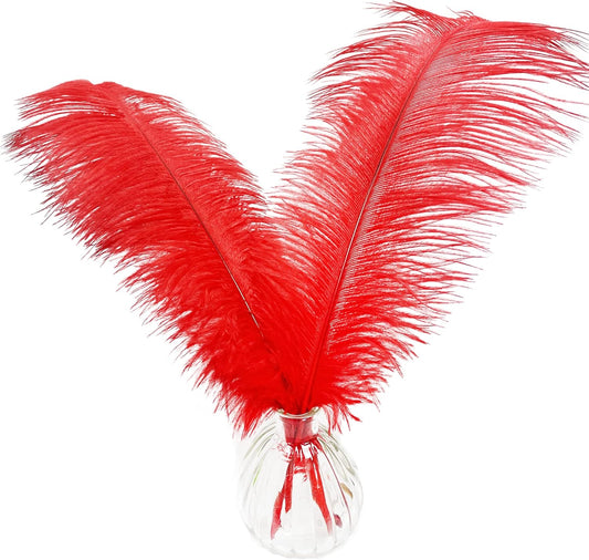 Happy Feather 16-18 inch Red Ostrich Feathers Craft for Wedding Party Centerpieces Home Decoration DIY Craft Pack of 10
