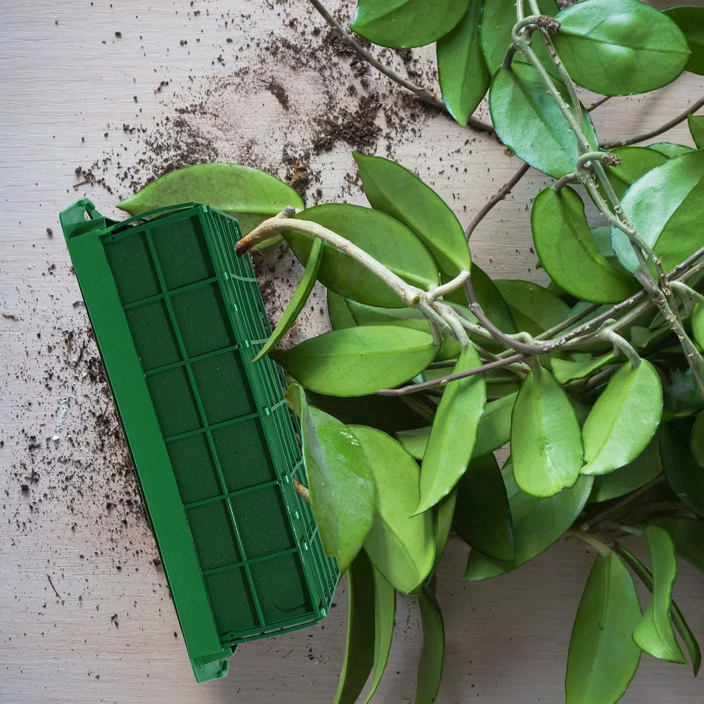 Boao 30 Pieces Floral Foam Cage Holder with Floral Foam for Fresh Flowers Cage Bowl for Table Centerpiece Flower Arrangement, Rectangle, 11.8 x 4.7 x 3.1 Inch