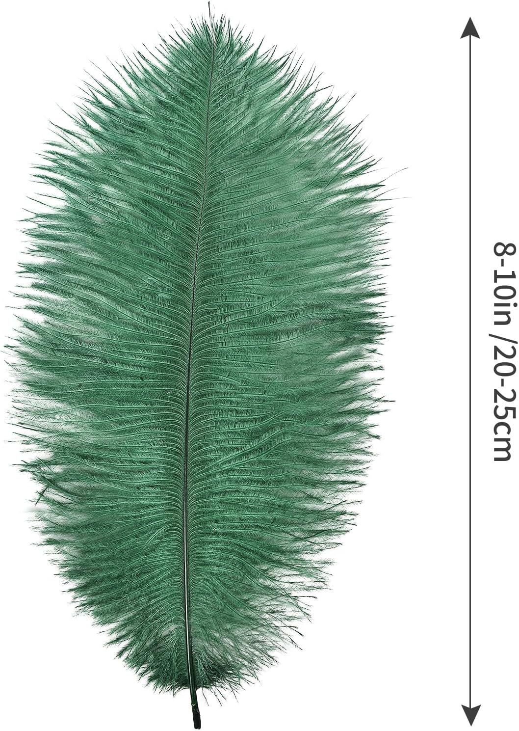THARAHT Blackish Green Ostrich Feathers 12pcs Natural Bulk 8-10Inch 20cm-25cm for Crafts Wedding Party Centerpieces Mardi Gras Decoration Feather