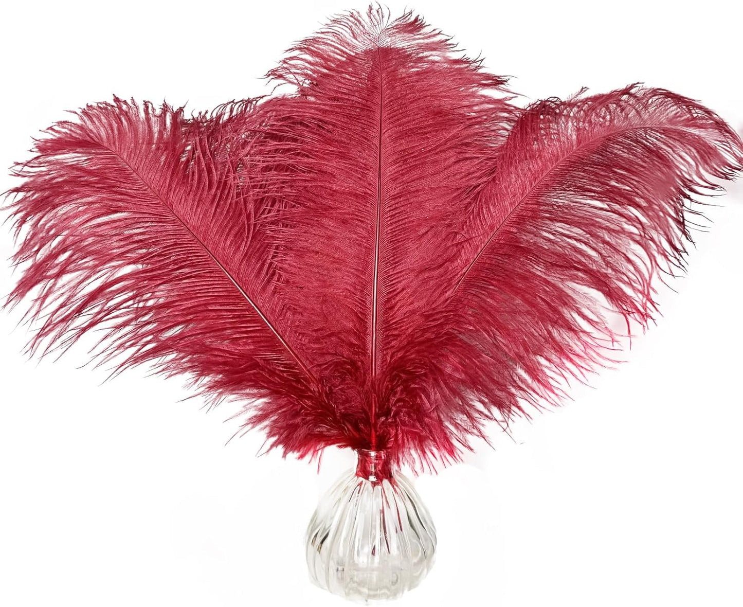 Happy Feather 16-18 inch Wine Rde Ostrich Feathers Craft for Wedding Party Centerpieces Home Decoration DIY Craft Pack of 10