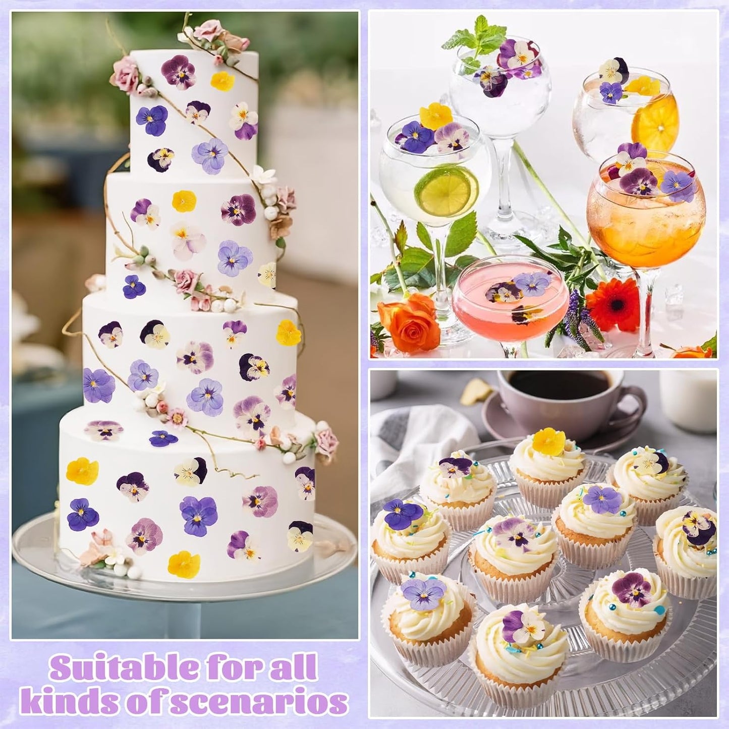 Dried Pressed Flowers Cake Topper 40 PCS Purple Tricolor Floral Cupcake Toppers Decoration Natural Dry Real Flowers for Cocktail Drink Crafts Resin Candle Soap DIY Art Jewelry Making