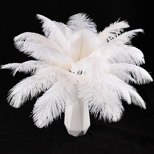 THARAHT White Ostrich Feathers 12pcs Natural Bulk 10-12Inch 25cm-30cm for Crafts Wedding Party Centerpieces Easter Gatsbi and Christmas Tree Decoration Feathers