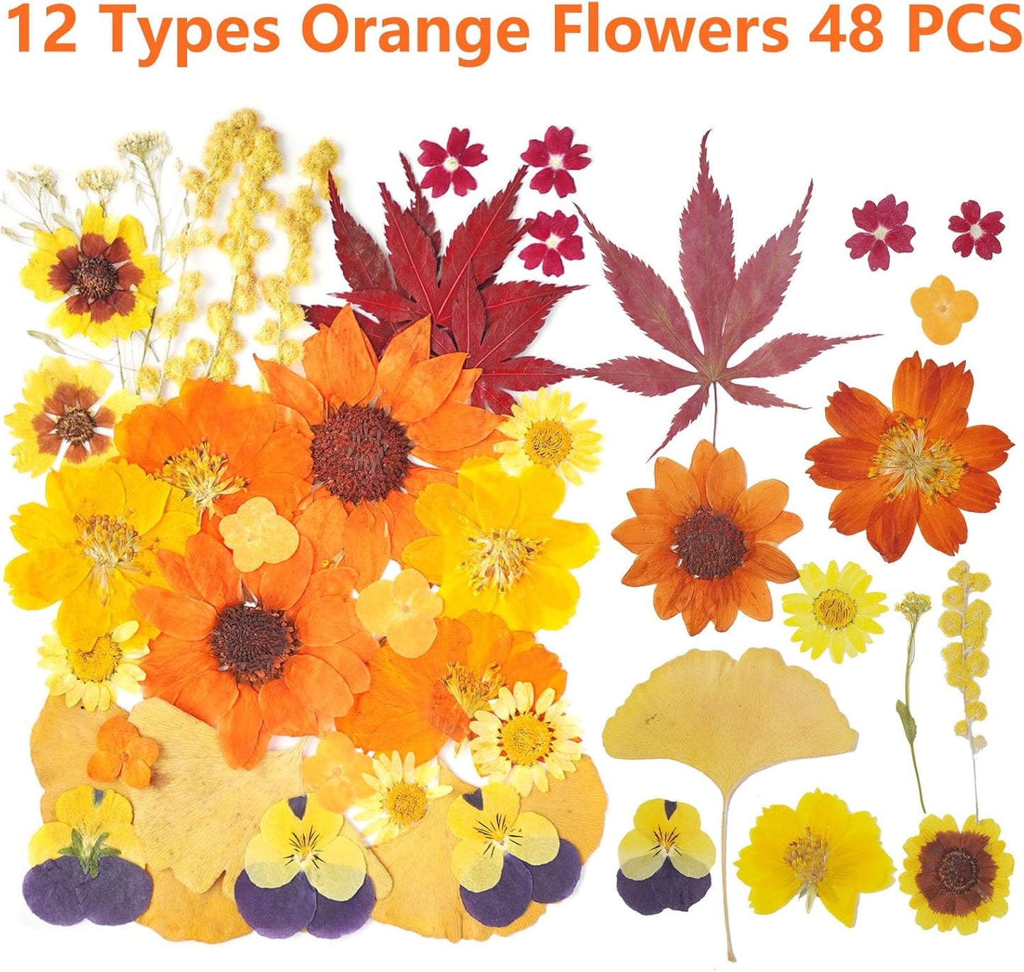 12Types Real Dried Pressed Flowers Sunflowers for Crafts Resin Jewelry Making, Fall Floral Cake Decorations-Orange