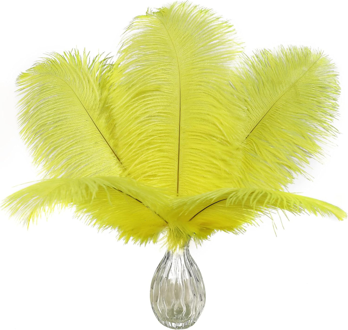 Ballinger Fluorescent Yellow Ostrich Feathers - 24Pcs 10-12inch Feathers Bulk for Vase, Party Centerpieces, Mardi Gras Decorations and Home Decor