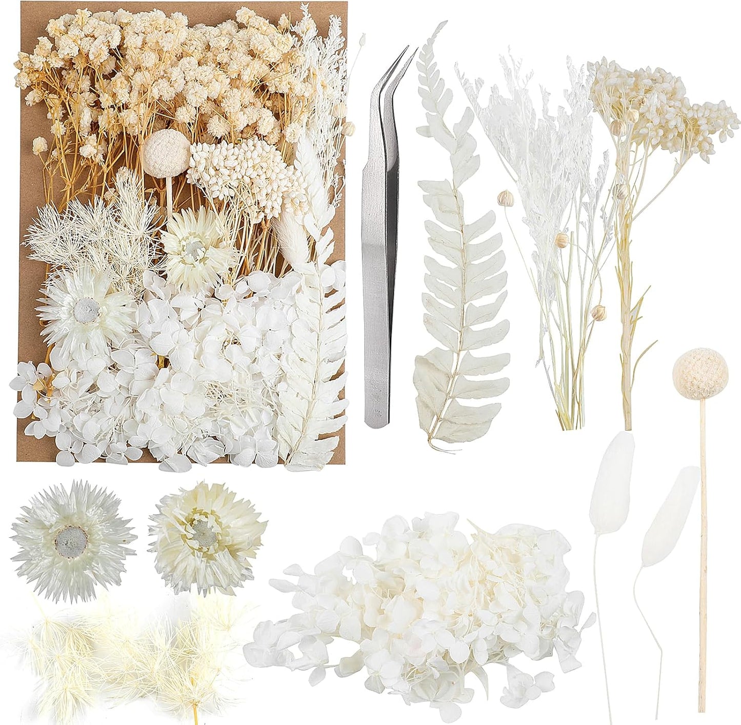 Dried Flowers,Dried Flowers Set for DIY Scrapbook Accessories Flower Arrangements Flower Decoration Wedding Decoration(White)