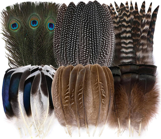 Holmgren 24pcs Natural Feathers Bulk - 6 Styles Assorted Peacock, Pheasant, Turkey Feathers for Craft DIY Jewelry Hat Wedding Home Party Decoration