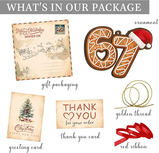 67 Christmas Ornament, 67 Ornaments for Xmas Tree, Funny Christmas Ornaments 2025, 6 7 Meme Ornament for Teens, Six Seven Gifts, Gag Gifts for Teens, Teen Girls Trendy Stuff (Gingerbread 67)