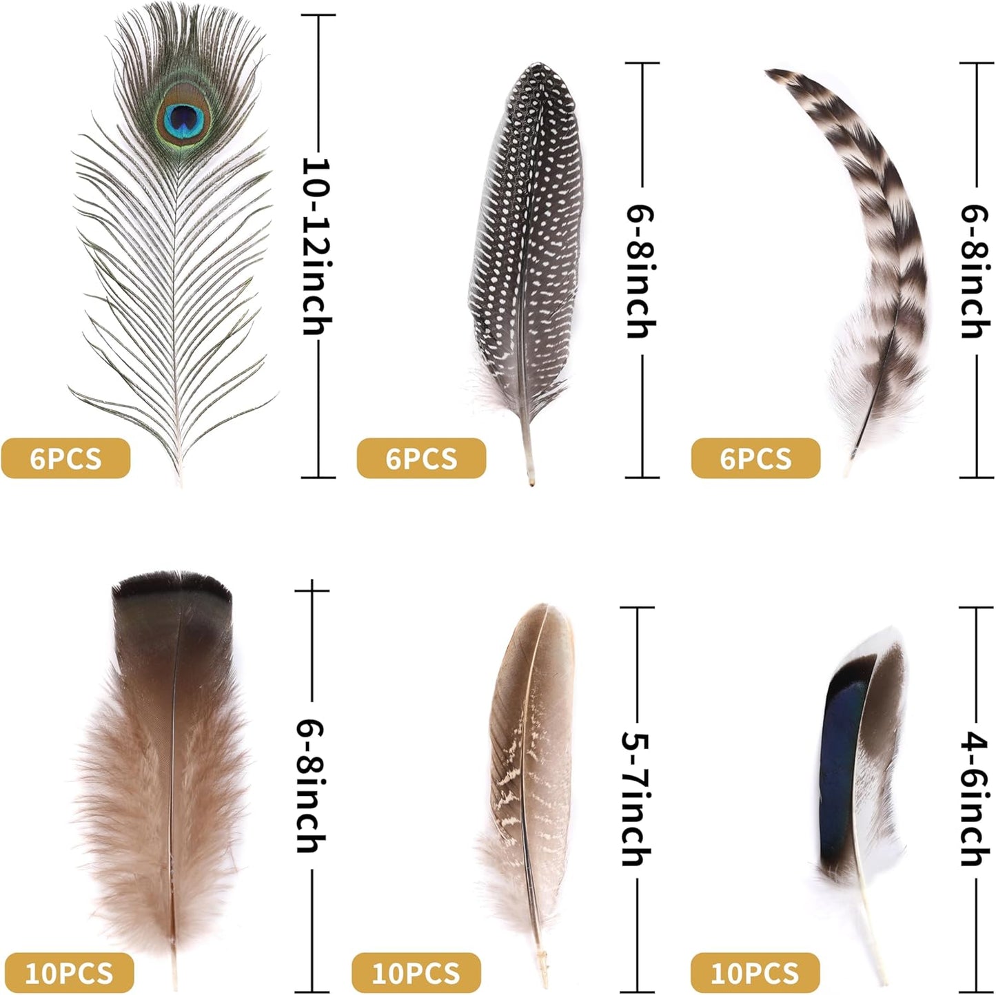 Holmgren 48pcs Natural Feathers Bulk - 6 Styles Assorted Peacock, Pheasant, Turkey Feathers for Craft DIY Jewelry Hat Wedding Home Party Decoration