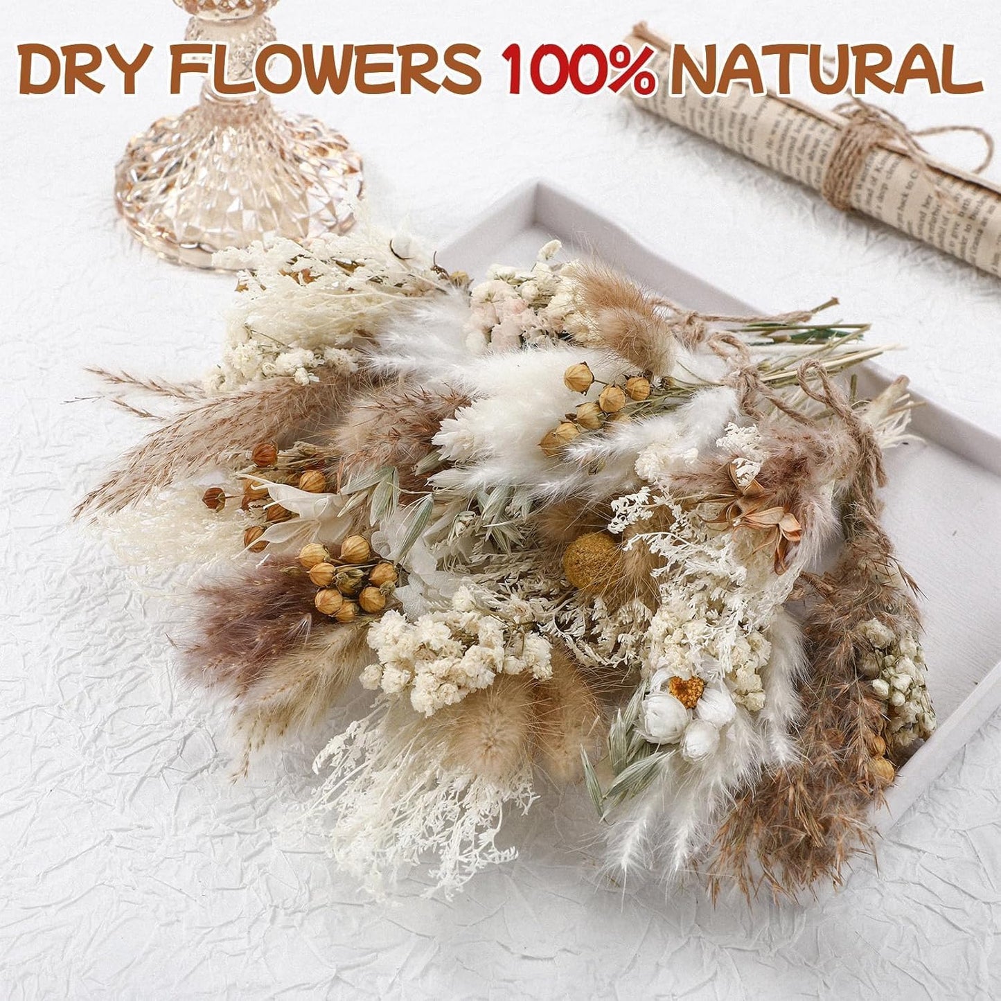10/12/24/36 Pack Mini Dried Flowers for Vase Wedding Various Mini Bouquet Dried Small Wildflowers Natural Flowers Bulk for Crafts DIY Decor (36, Plain Colour)