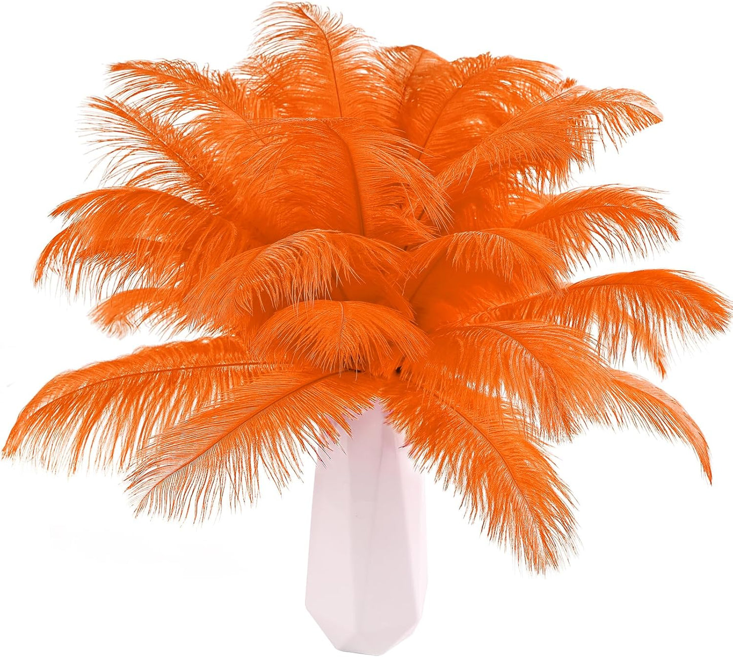 THARAHT Orange Ostrich Feathers 12pcs Natural Bulk 8-10Inch 20cm-25cm for Crafts Wedding Party Centerpieces Halloween and Home Decoration Feathers