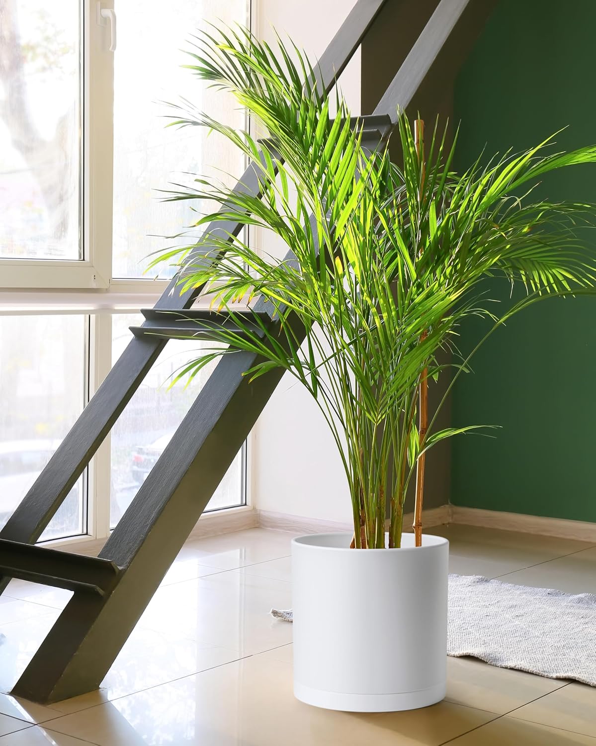 D'vine Dev 2 Pack 12 Inch Modern Plastic Plant Pots, Cylindrical Garden Planters for Plants with Drainage Holes and Saucers, White, 74-Z-P-1